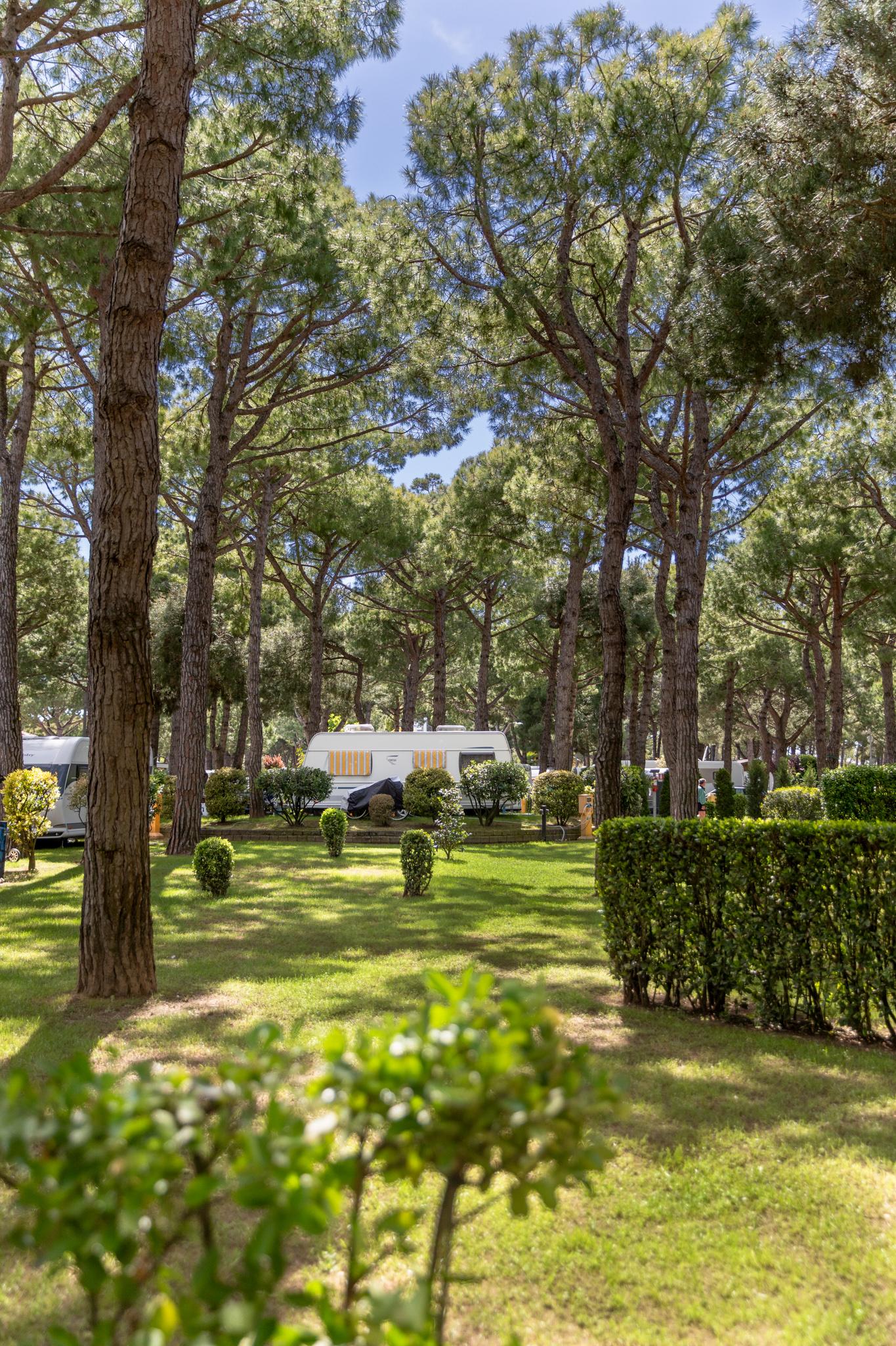 Strukturen des Campingplatzes Enzo Stella Maris